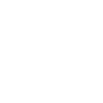 DSM